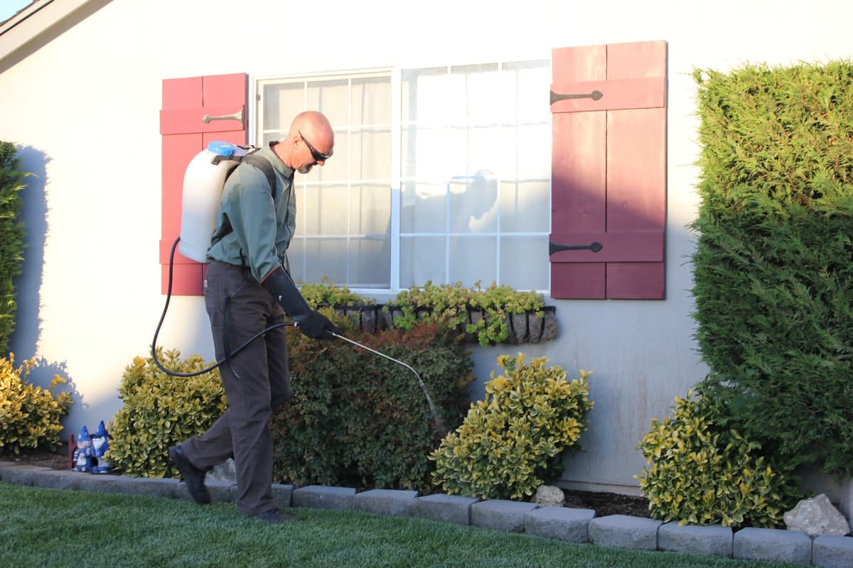Pest Control at work